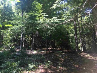 2 Pond View Dr, Tuftonboro, NH 03816