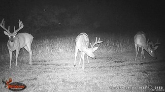 OFF Western Mill Rd, Triplet, VA 23868