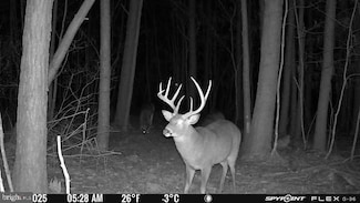 5076 Back Shelltown Rd, Marion Station, MD 21838