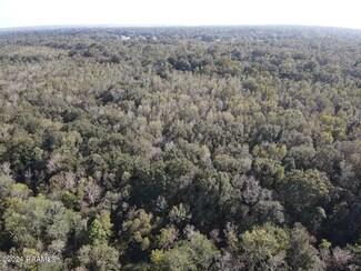 000 Port St, Abbeville, LA 70510
