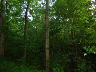 600 Stoney Point Rd, Cumberland, VA 23040