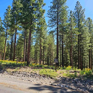 210 Red Hawk Dr, Beckwourth, CA 96122