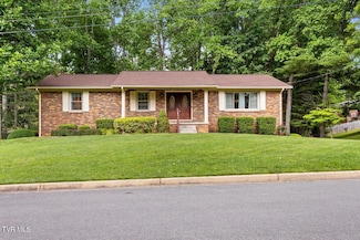 2 Mistletoe Ct, Johnson City, TN 37604