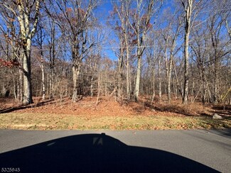 14 Starlite Hill Rd, Knowlton Township, NJ 07832