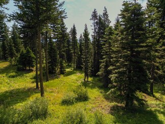 4650 Williams Creek Loop Unit 14, McCall, ID 83638