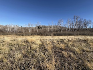 1654 Cary Ln, Ft. Garland, CO 81133