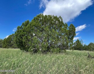 5306 N Clancy Rd Unit 106, Ash Fork, AZ 86320