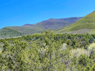 TBD County Road 306, Parachute, CO 81635