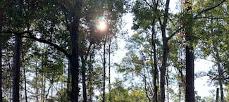 0 Koepp Rd, Madisonville, LA 70447