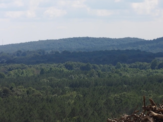 Lot 18 Summer City Rd, Evensville, TN 37332