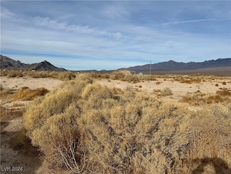 1160 Glassport Ln, Pahrump, NV 89060