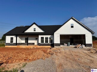 88 Betty Boyd Ln, Brandenburg, KY 40108