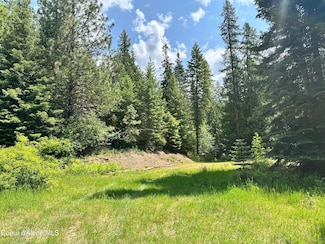 3232 Hells Gulch Rd, St. Maries, ID 83861