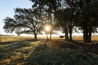 TBD Brushy Rd Unit Tract 1, Brazos Bend, TX 76048