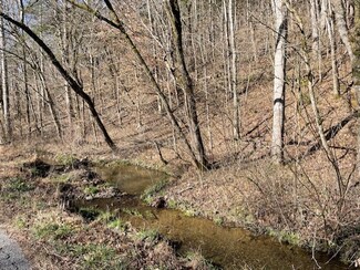 0 Austin Hollow Rd Unit RTC2780984, Pleasant Shade, TN 37145