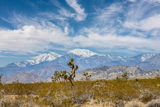 61155 Wilson St, Joshua Tree, CA 92252
