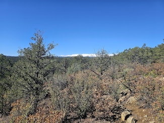 0 Meadow Lark Dr Unit 220, Weston, CO 81091