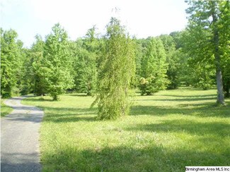 570 Cash Rd, Ashville, AL 35953