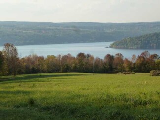 9677 Bonnie Ln, Hammondsport, NY 14840