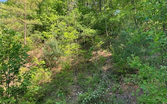 LT4A Trillium Heights, Hayesville, NC 28904