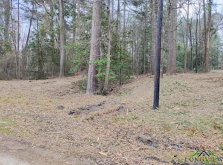 0 Pine Tree Dr, Harleton, TX 75651