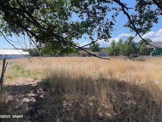 0 4th Ave Unit 255802, Eagar, AZ 85925
