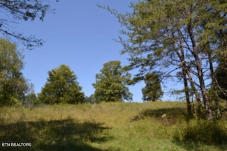 17.13ac Taylor Place Rd, Jamestown, TN 38556