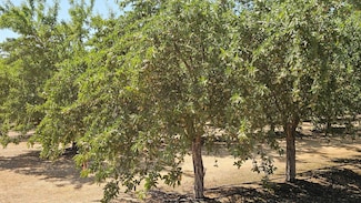 19100 County Road 86a, Esparto, CA 95627