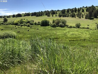38932 Hwy 395, Longcreek, OR 97856