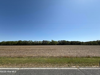 Lots 3,4 William R King Rd, Newton Grove, NC 28366