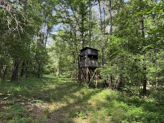 2550 Rosemary Rd, Terry, MS 39170
