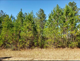 20 Clear Lake Rd, Perkinston, MS 39573