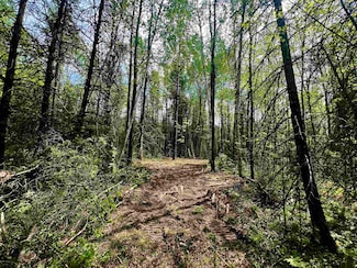0 Bergeson Ln, Amberg, WI 54102