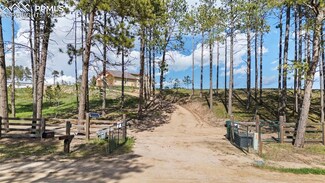 7115 Wildridge Rd, Colorado Springs, CO 80908