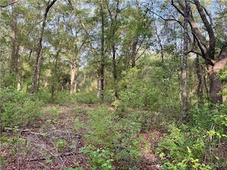 909 Ferncreek Ave, Inverness, FL 34453