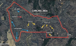 0 Carlins Rd, Hornsby, TN 38044