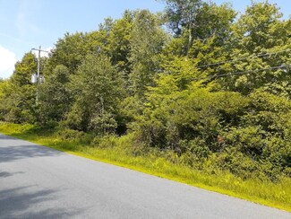 351 White Roe Lake Rd, Livingston Manor, NY 12758