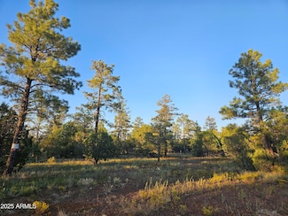 4843 Bison Trail Unit 41, Lakeside, AZ 85929