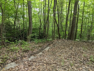 0 Buck Knob, Cullowhee, NC 28723