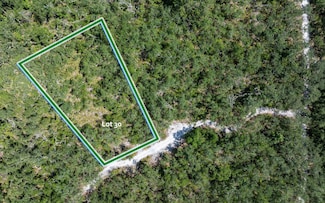 TBD Hickory Ln, Live Oak, FL 32060
