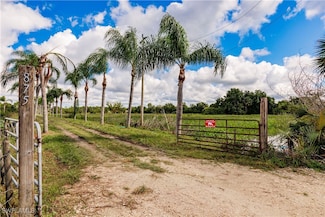 875 Limpkin Rd, Naples, FL 34120