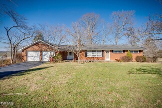 215 Mcafee Rd, Afton, TN 37616