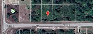 1139 Pisa St E, Lehigh Acres, FL 33974