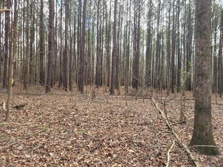265 Galatia Rd, Seaboard, NC 27876