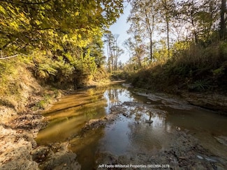 Tbd Rodney Rd Unit LotWP001, Port Gibson, MS 39150