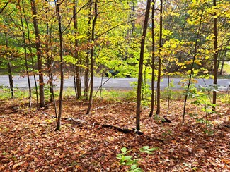 0 Pheasant Run Unit 201832371, Otsego Lake Township, MI 49735