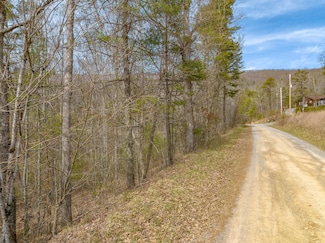 0 Lake Forest Ln, Bland, VA 24315