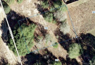 709 S Savary Ave, Inverness, FL 34453