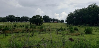 5221 Plymouth Sorrento Rd, Apopka, FL 32712