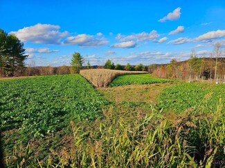 8735 Ohio 335, Beaver, OH 45613